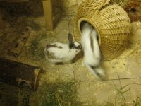 IMG_0078.jpg