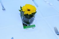 IMG_9086.jpg